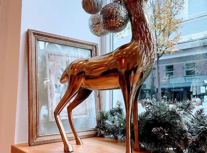 Krone Отель Кёнигсвинтер